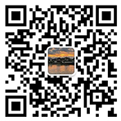 the qr code