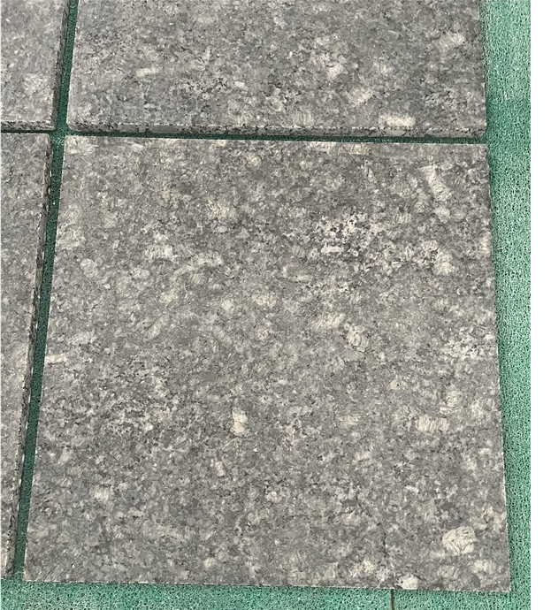 SFKD19 China Butterfly Green Granite Tiles Honed for Floorin