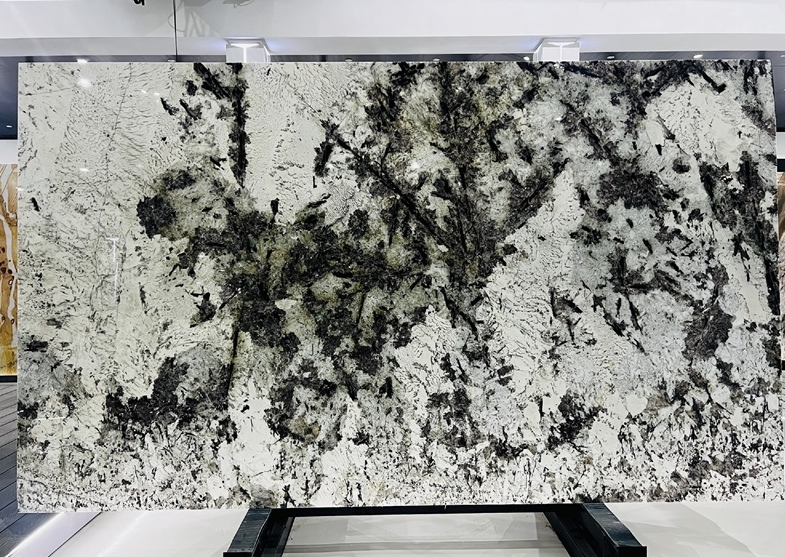 SFKD35 Vienna White Granite Polished Slabs