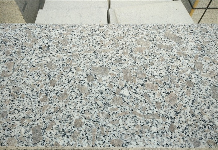 SFKD47 China Light Grey White Granite with Pink Rose, G383, 